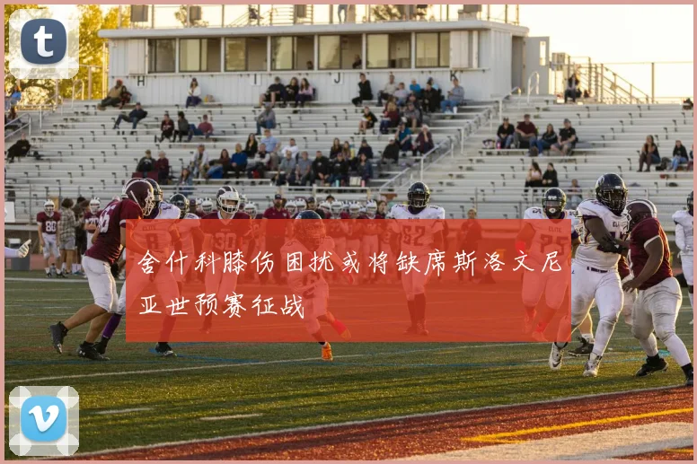 舍什科膝伤困扰或将缺席斯洛文尼亚世预赛征战